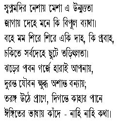 the poem in bengali